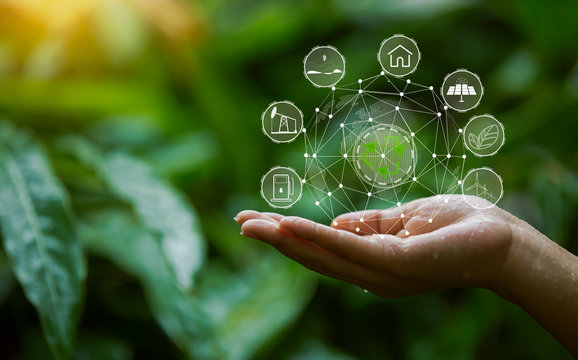 Sustainability Image